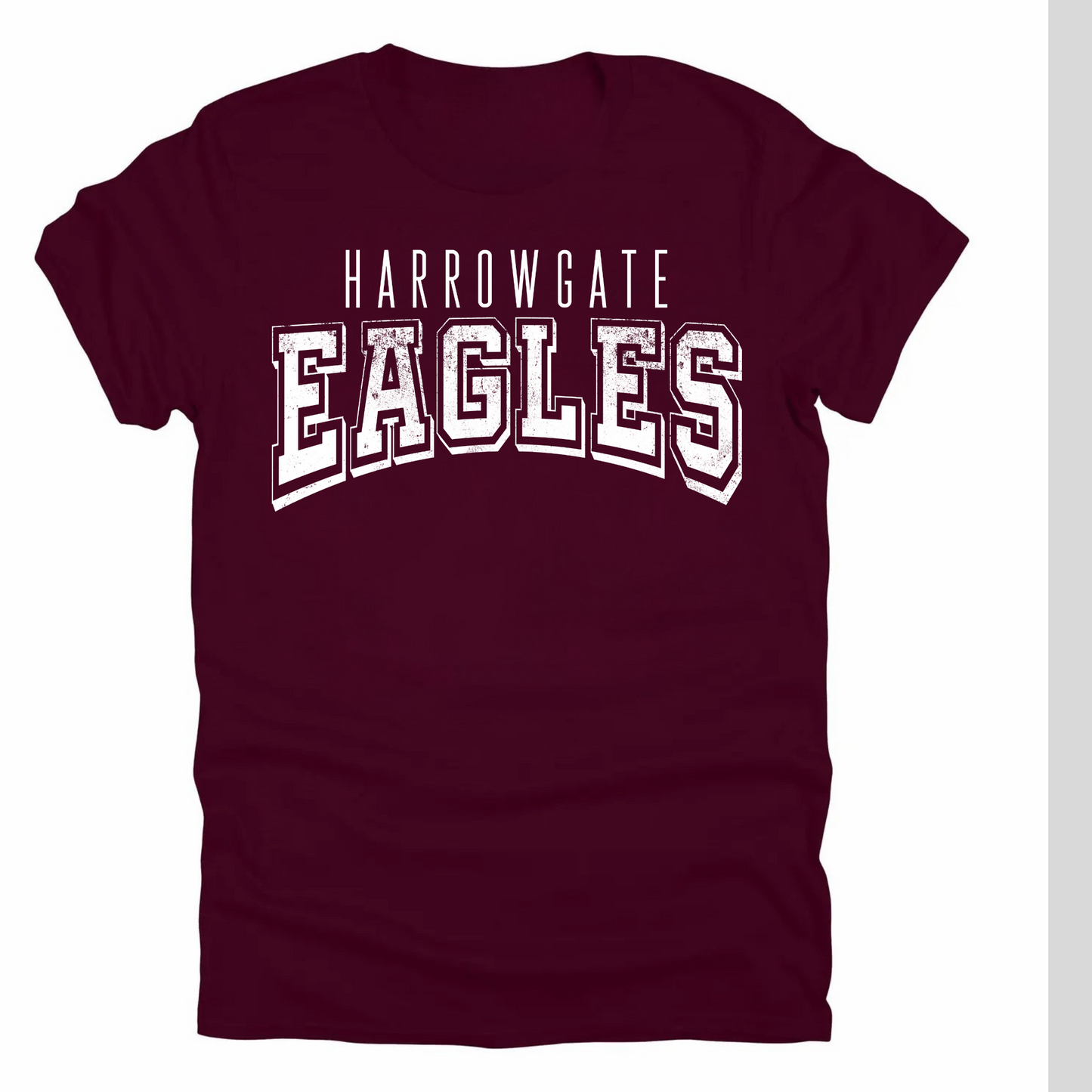 Harrowgate Elementary Design 5