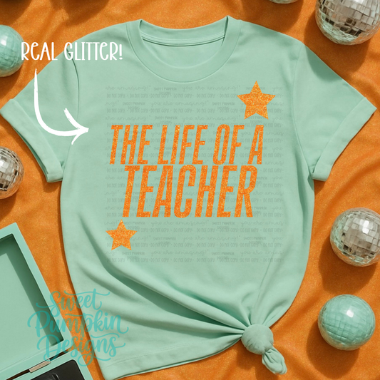 $11 THE LIFE OF A TEACHER IN-STOCK SPECIAL