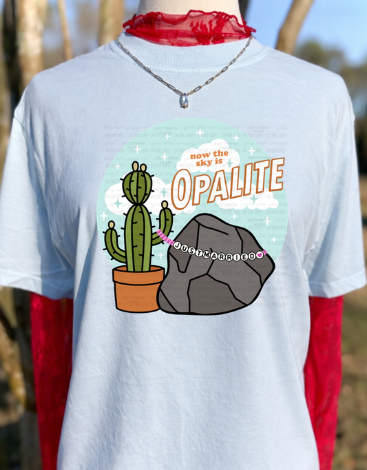Opal1te Rock Cactus Shirt