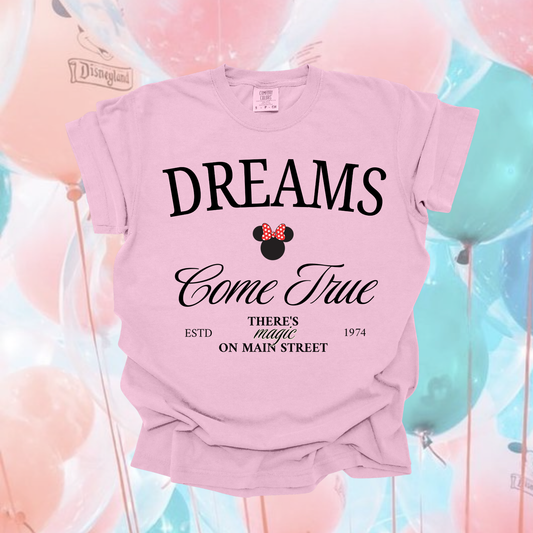 DREAMS COME TRUE ON MAIN STREET | Cozy Park Day Shirt | Gift for Her