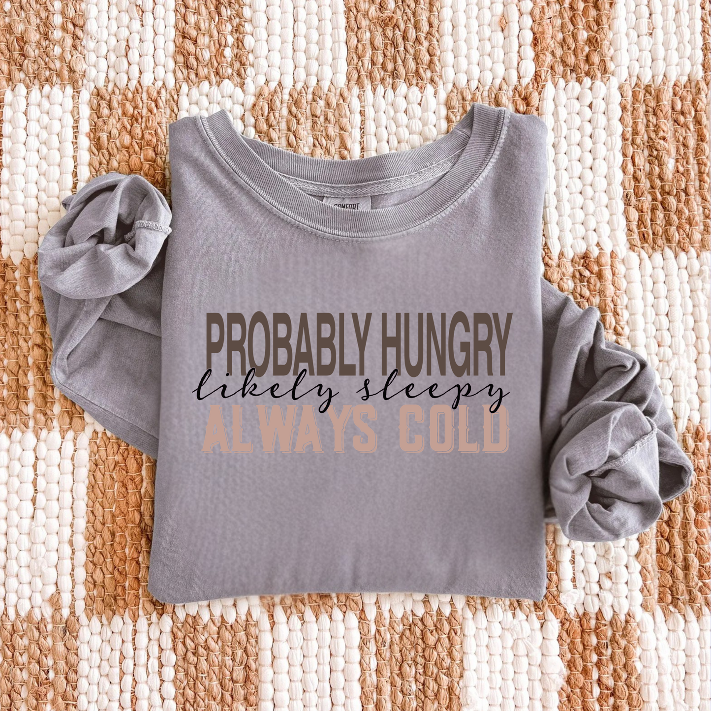 Probably Hungry Likely Sleepy Always Cold Long Sleeve Shirt | Comfort Colors Cozy Tee