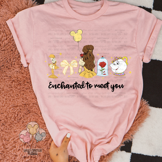 Enchanted to Meet You Shirt - Bella Canvas -In My Birthday Era Sale ⭐