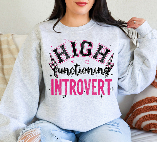 High Functioning Introvert Sweatshirt for Women | Funny Cozy Crewneck | Gift for Introverts