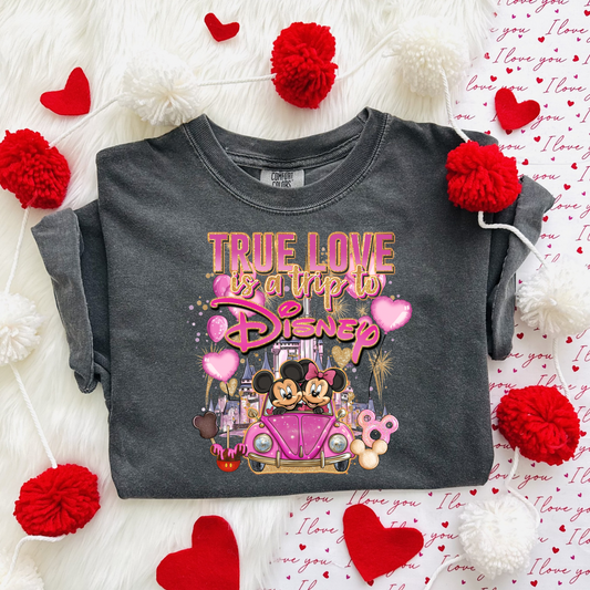 TRUE LOVE IS A TRIP VALENTINE’S DAY SHIRT | Cozy Park Day Shirt