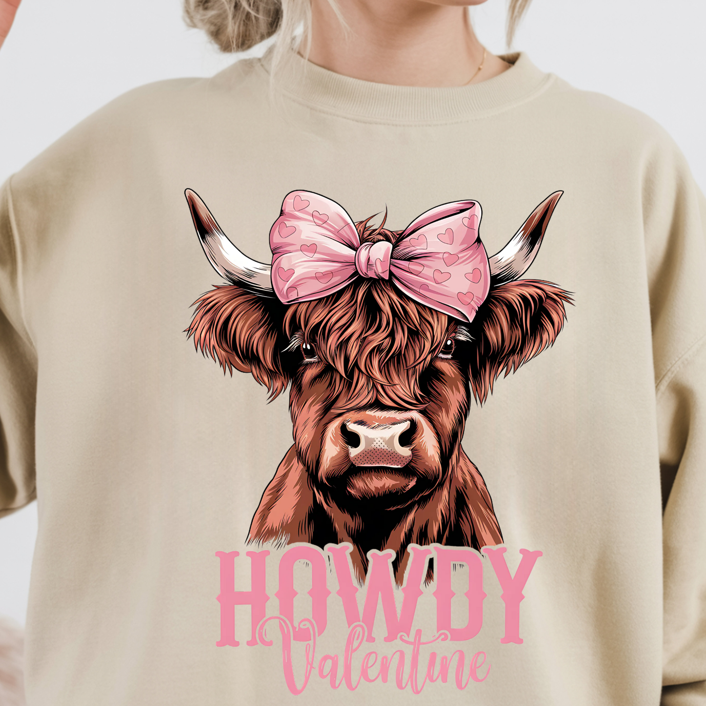 HOWDY VALENTINE SHIRT