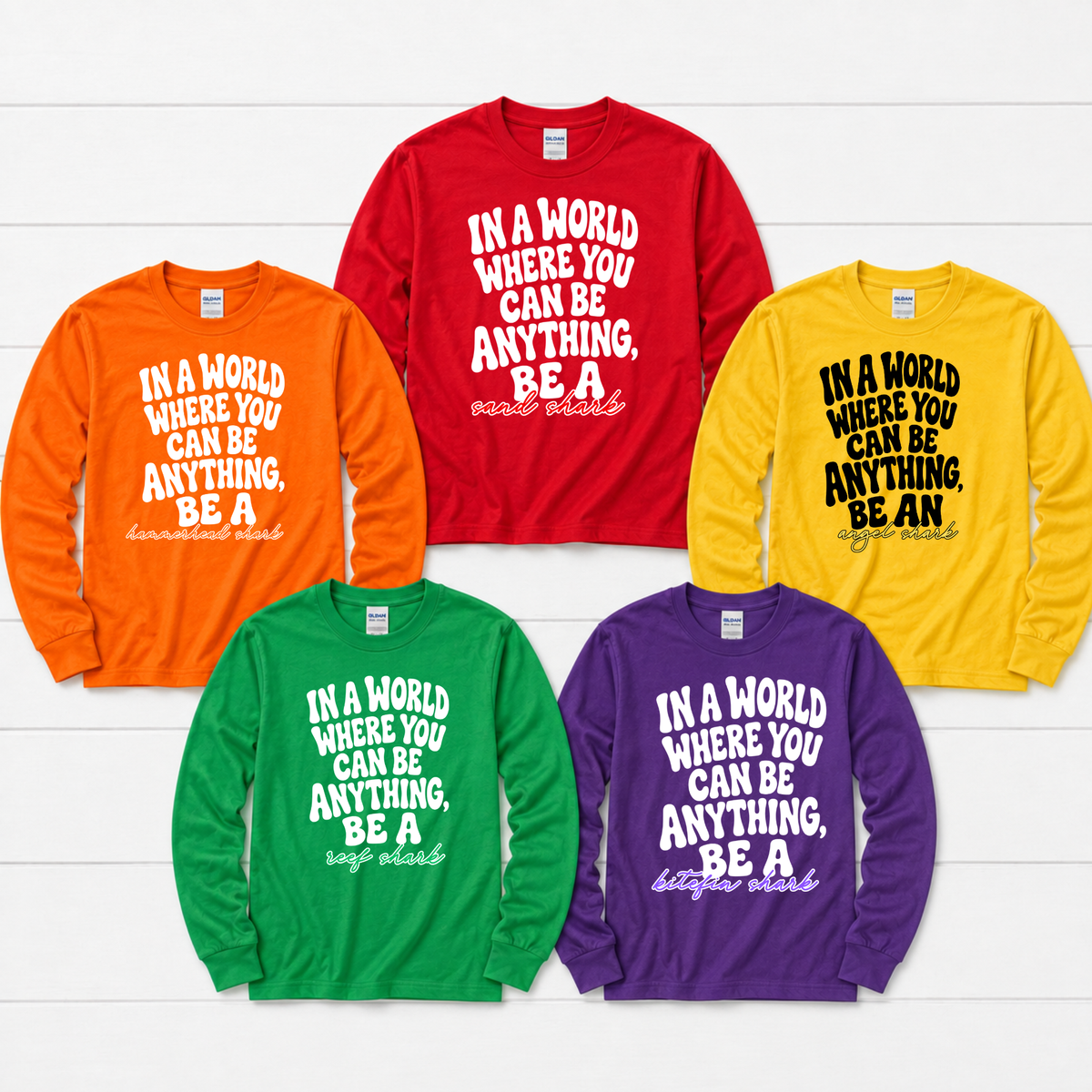 Smith House IN A WORLD WHERE YOU CAN BE ANYTHING T-shirt, Long Sleeve or Hoodie | Alberta Smith Elementary