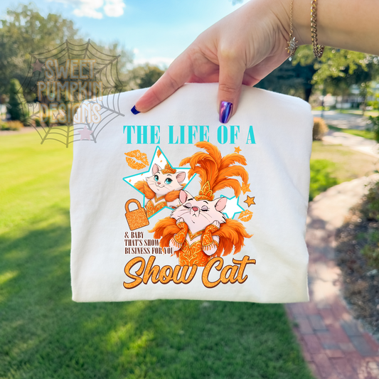 Life of a Magical Cat