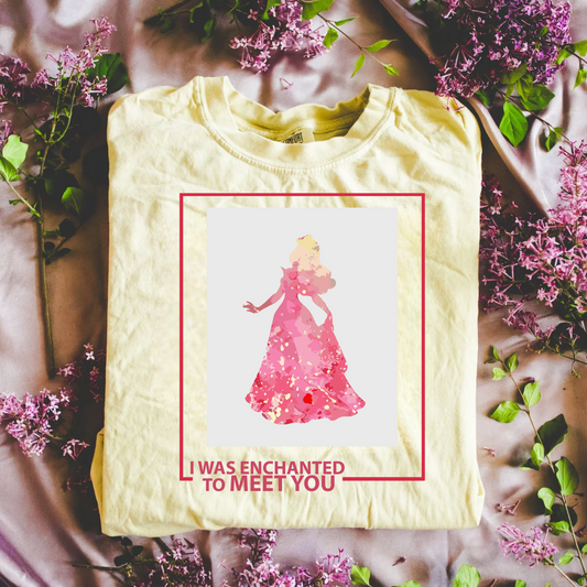 Enchanted Sleeping Princess