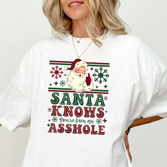 Funny Santa Shirt | Funny Christmas Shirt